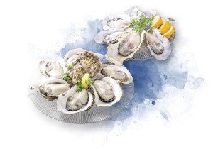 8TH SEA OYSTER Bar／ Terrace