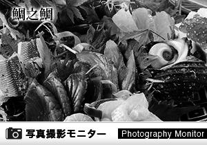 鯛之鯛　神戸三宮店（料理品質調査）