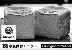 「純生食パン工房 HARE／PAN　小山店」店頭購入（商品品質調査）