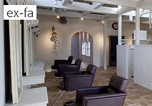 ex-fa hair cherir