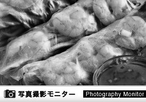 炭火焼アジアン酒場 アローイ兄弟（料理品質調査）