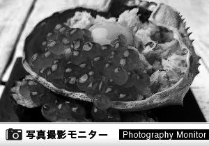 博多 スシエビス（料理品質調査）